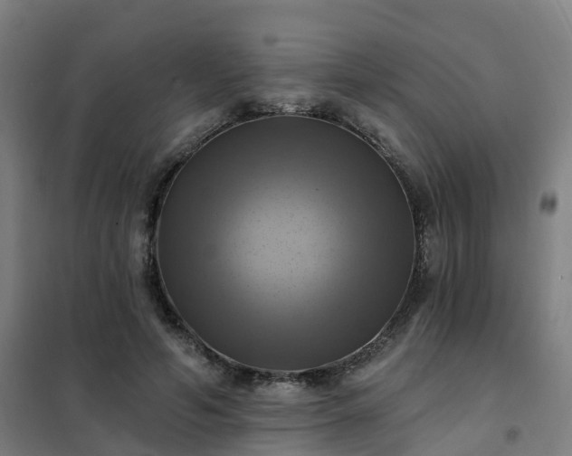 X0000102020594200807251333