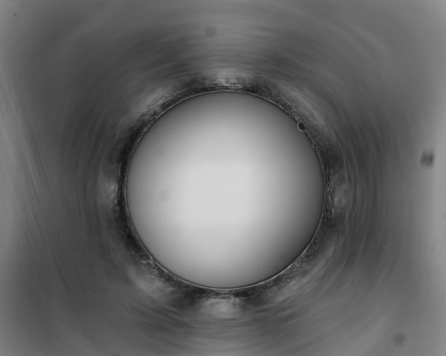 X0000102020595200807251333