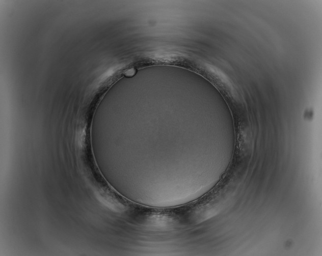 X0000102020596200807251333