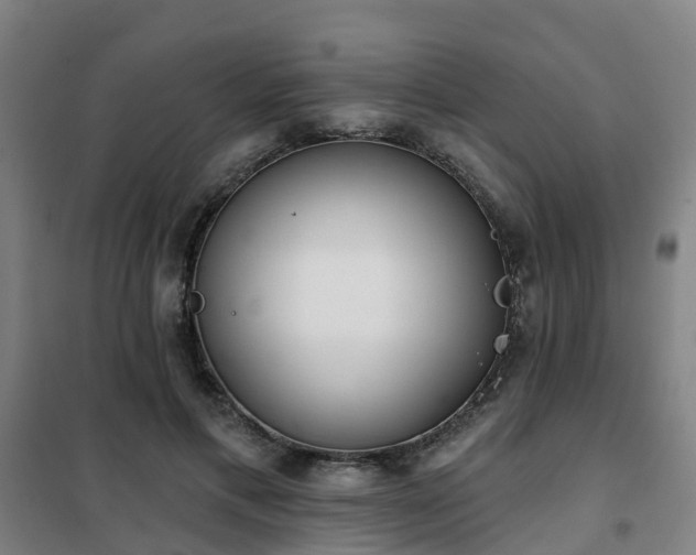 X0000102020597200807251333