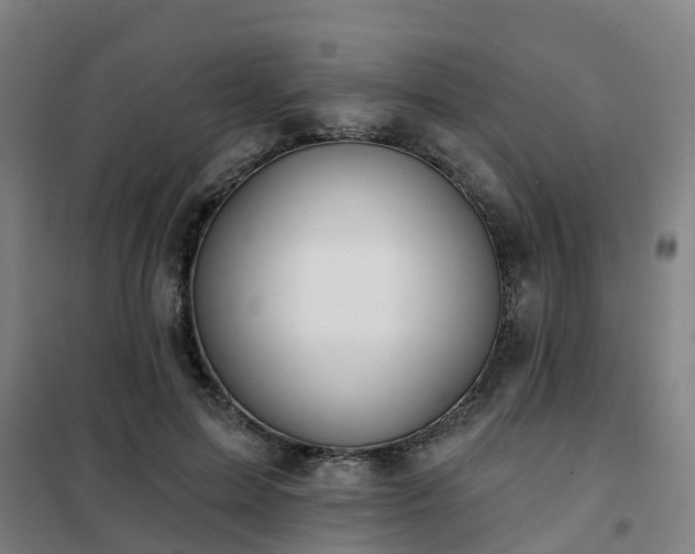 X0000102020599200807251333