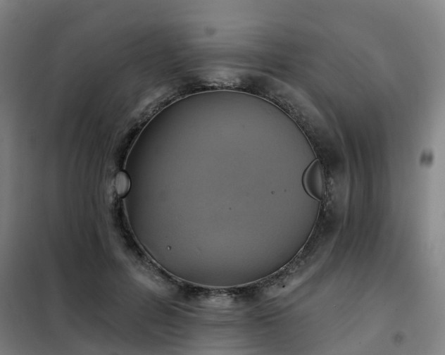 X0000102020600200807251333