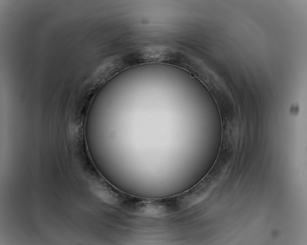 X0000102020601200807251333