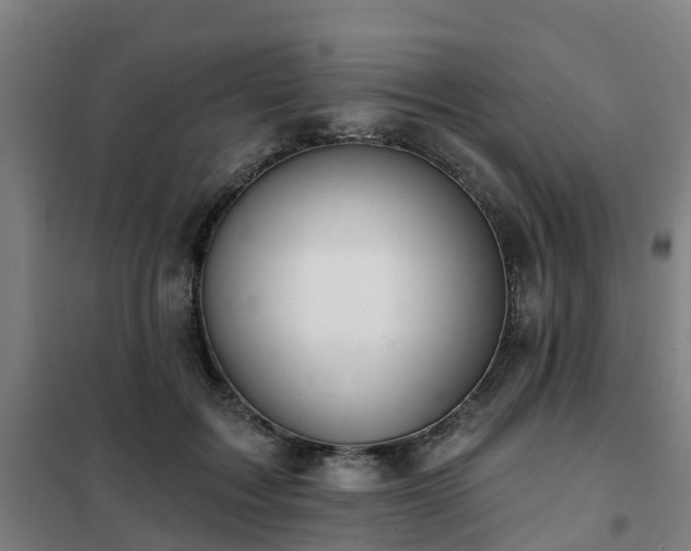 X0000102020603200807251333