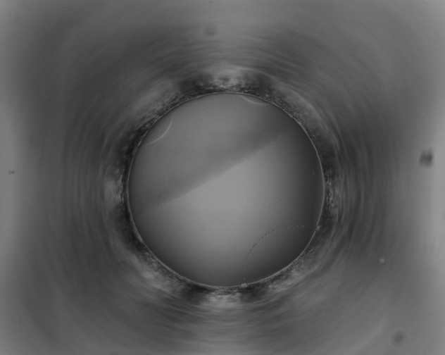 X0000102020606200807251333