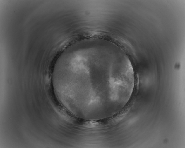 X0000102020607200807251333
