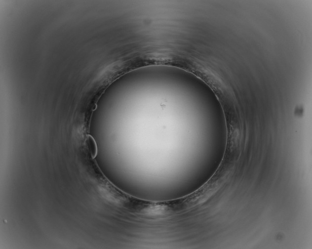 X0000102020609200807251333