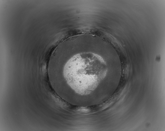 X0000102020610200807251333