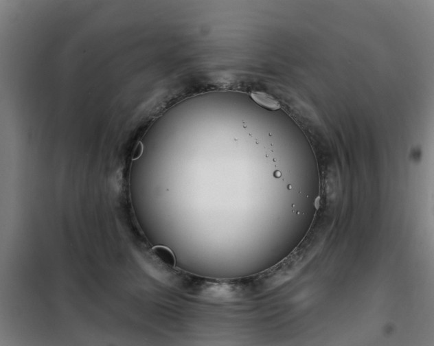 X0000102020611200807251333