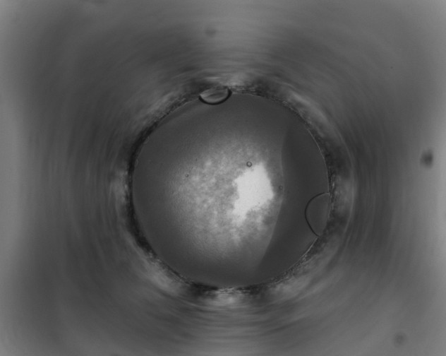 X0000102020612200807251333