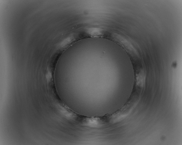 X0000102020618200807251333