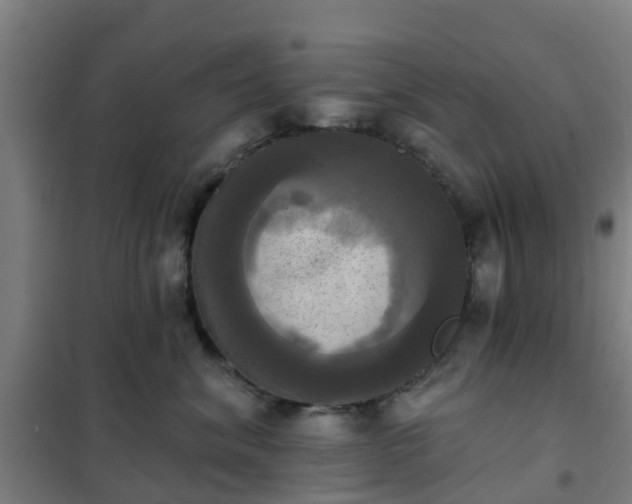X0000102020620200807251333