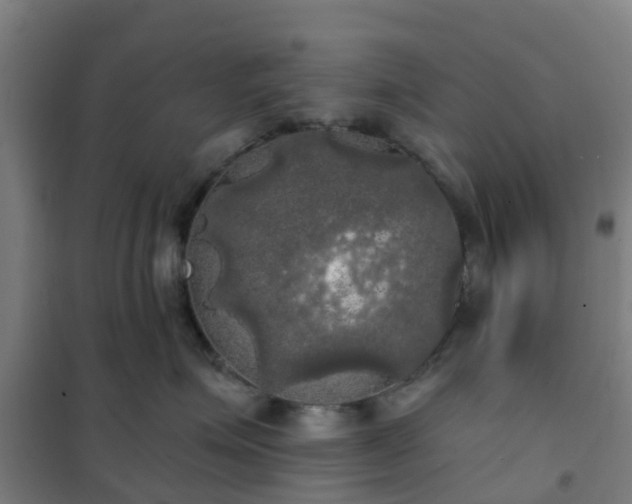 X0000102020623200807251333