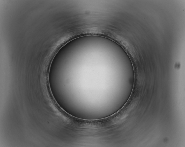 X0000102020625200807251332