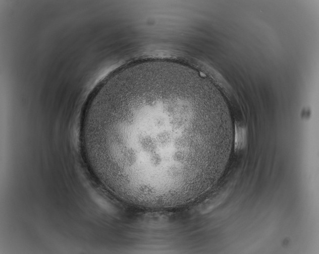 X0000102020627200807251332