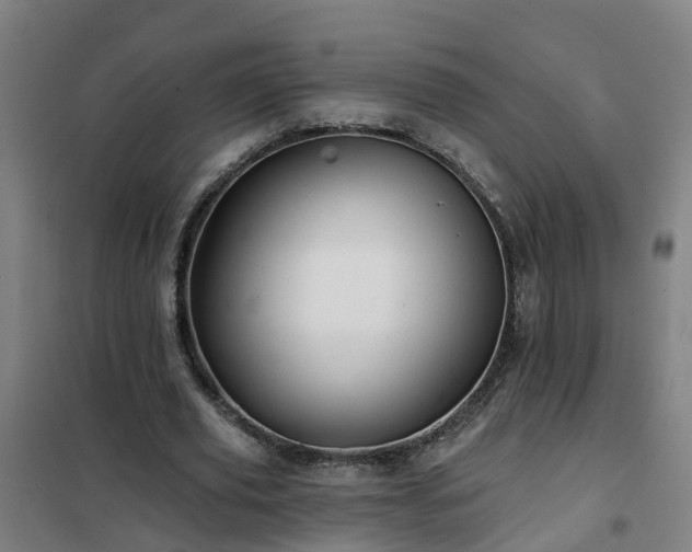 X0000102020629200807251332
