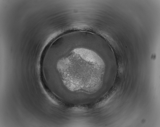 X0000102020630200807251332