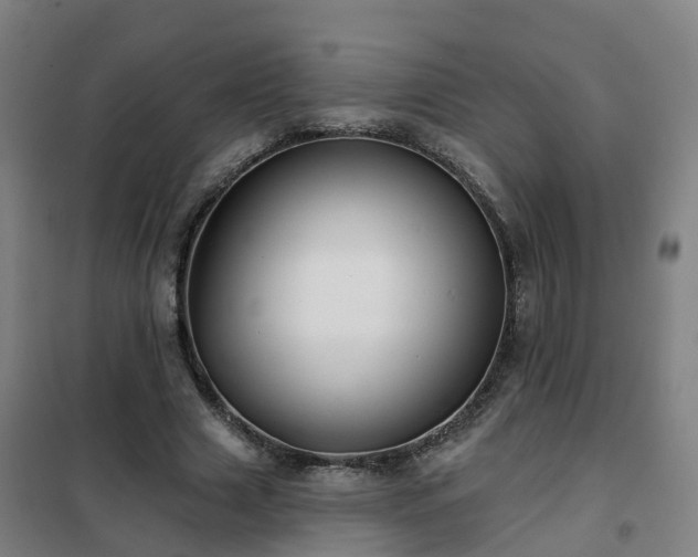 X0000102020633200807251332