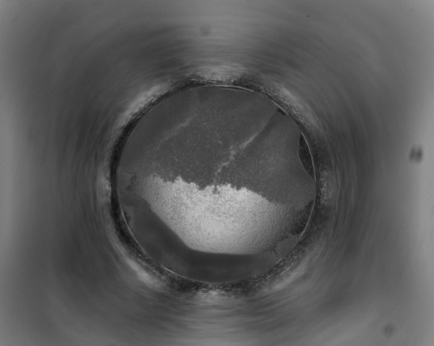 X0000102020634200807251332