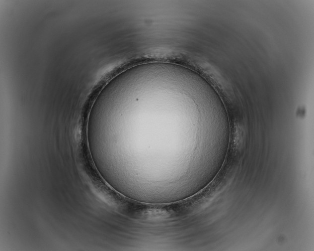X0000102020636200807251332