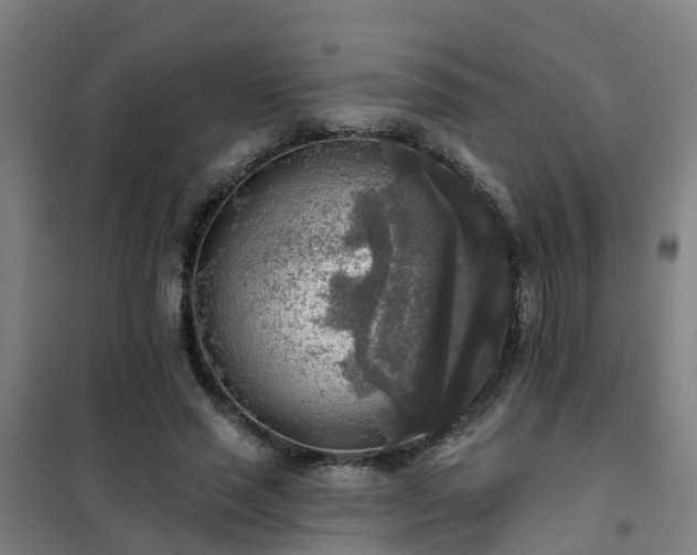 X0000102020637200807251332