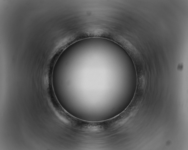X0000102020638200807251332