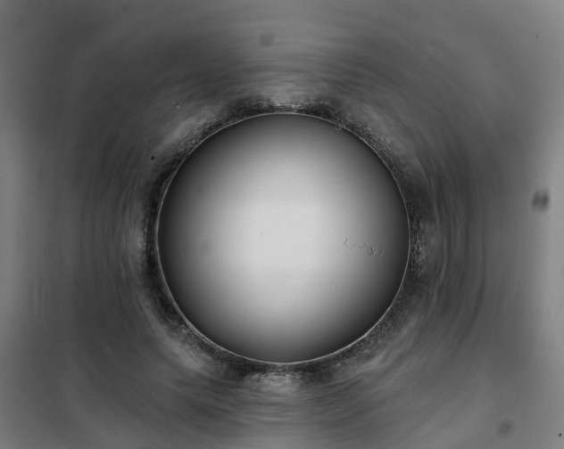 X0000102020639200807251332
