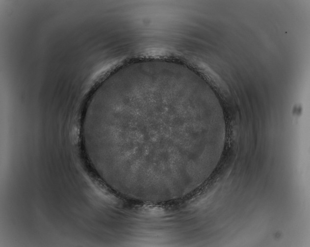 X0000102020640200807251333