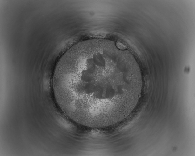 X0000102020641200807251333