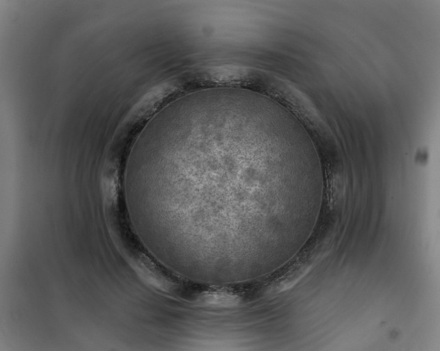 X0000102020644200807251333