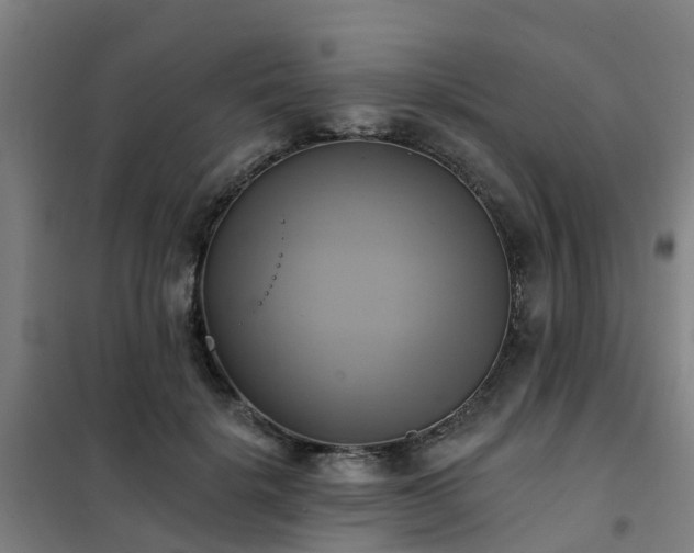 X0000102020652200807251333