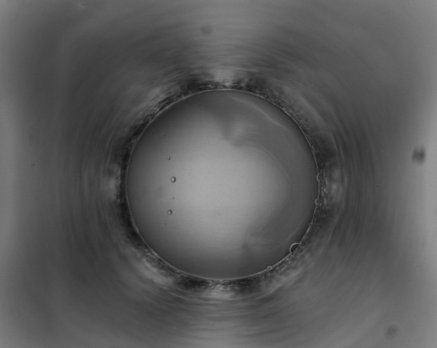 X0000102020656200807251333