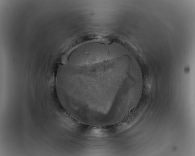 X0000102020657200807251333