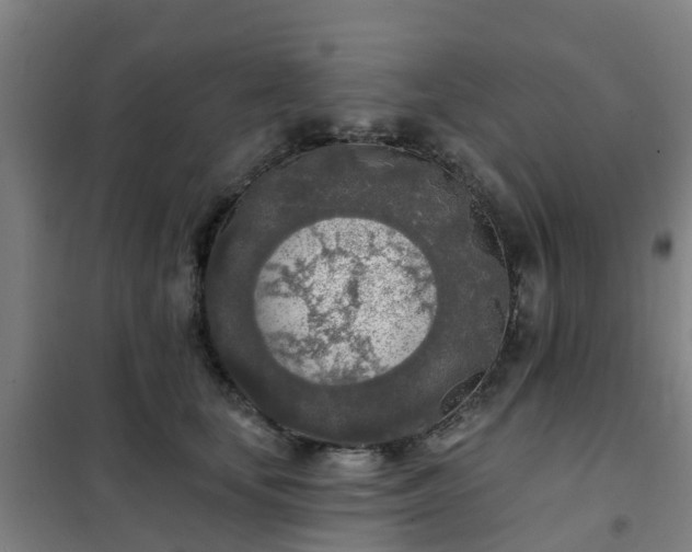 X0000102020659200807251333