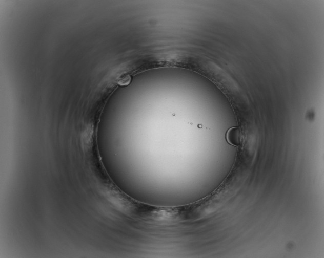 X0000102020660200807251333