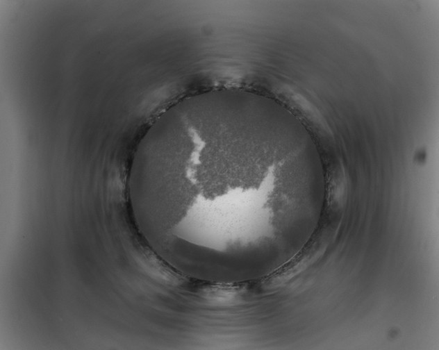 X0000102020661200807251333
