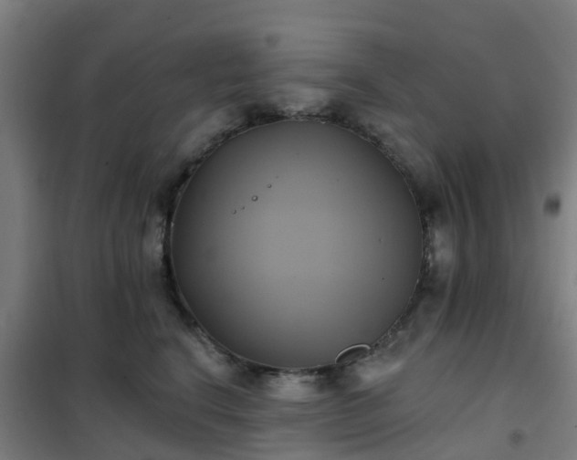 X0000102020664200807251333