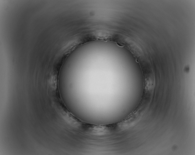 X0000102020666200807251333