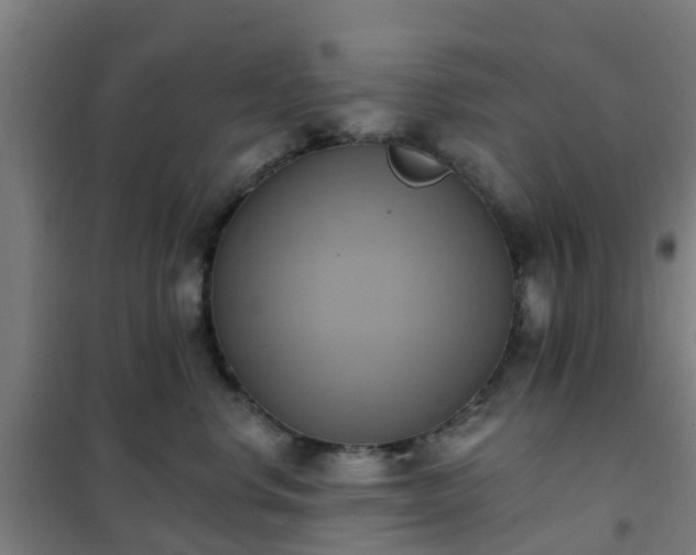X0000102020668200807251333