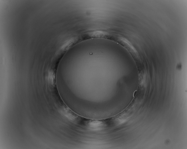 X0000102020669200807251333