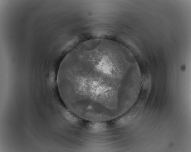 X0000102020670200807251333