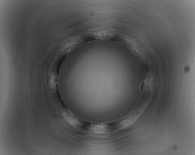 X0000102020671200807251333