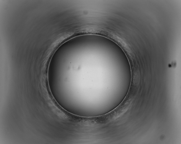 X0000102020673200807251332