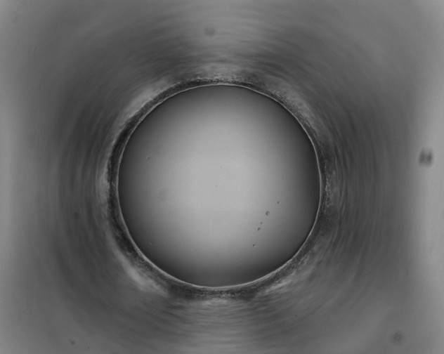 X0000102020674200807251332
