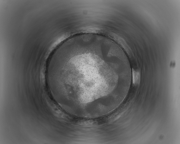 X0000102020675200807251332
