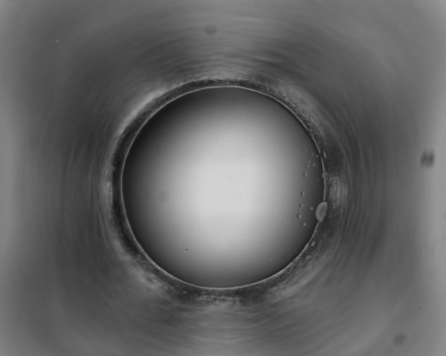 X0000102020676200807251332