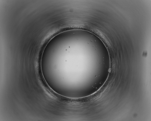 X0000102020677200807251332