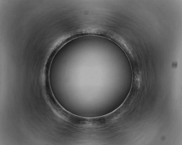 X0000102020678200807251332