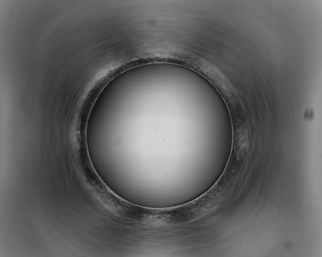 X0000102020680200807251332