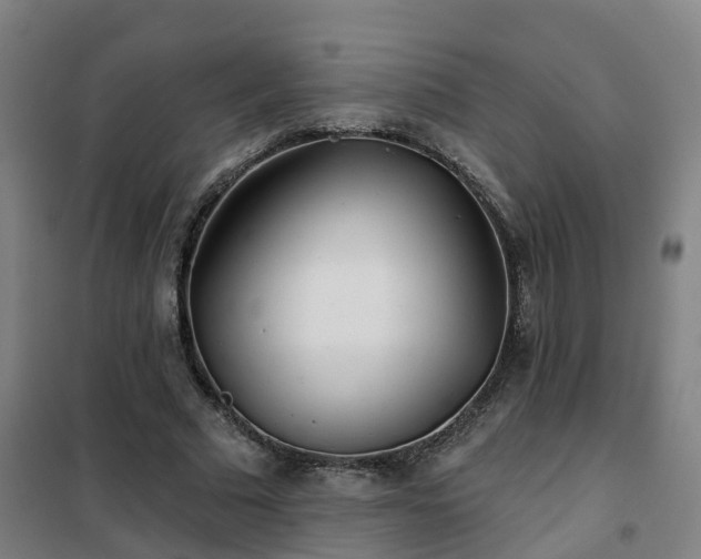 X0000102020681200807251332